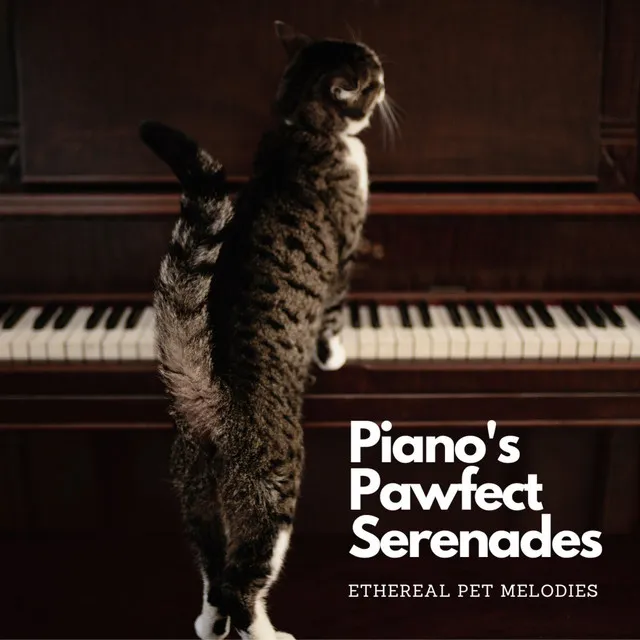 Piano's Reflective Ethereal Pet Harmony