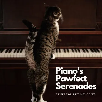 Piano's Pawfect Serenades: Ethereal Pet Melodies by Pianopassion