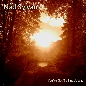 You've Got to Find a Way by Nad Sylvan