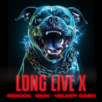 Long Live X by Velvet Cash