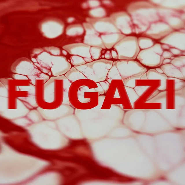 Fugazi