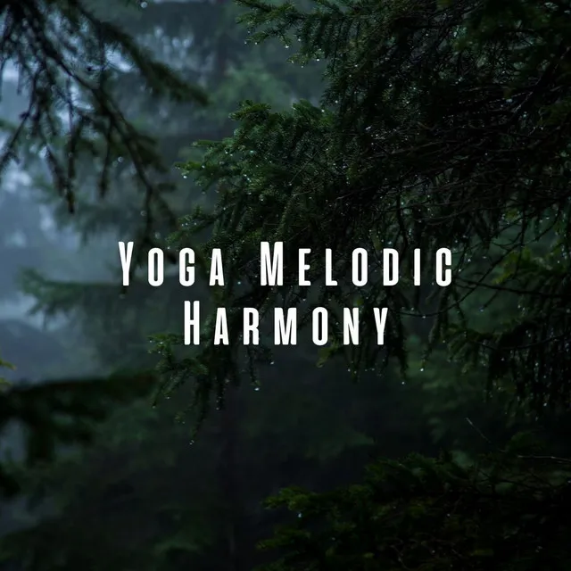 Yoga Melodic Harmony: Gentle Forest Rain Tunes ASMR