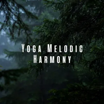 Yoga Melodic Harmony: Gentle Forest Rain Tunes ASMR by Yoga Music Station