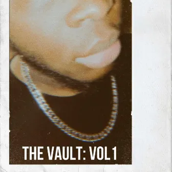 THE VAULT: VOL 1 by NextStopHill