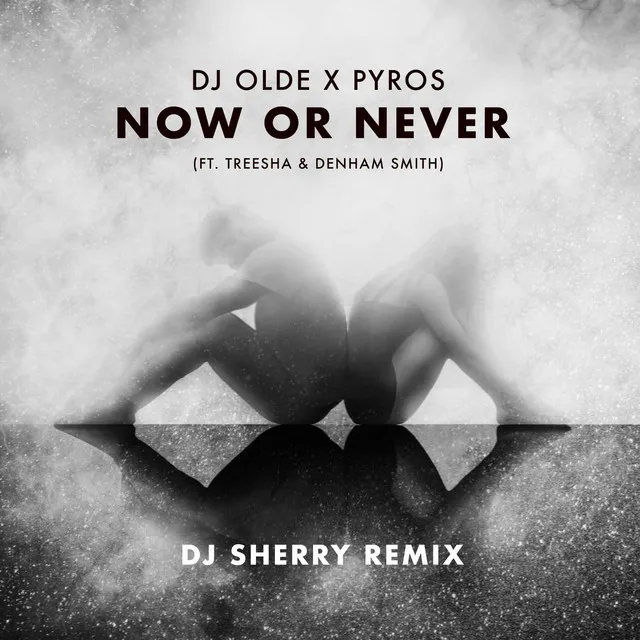 Now or Never [DJ Sherry Remix]