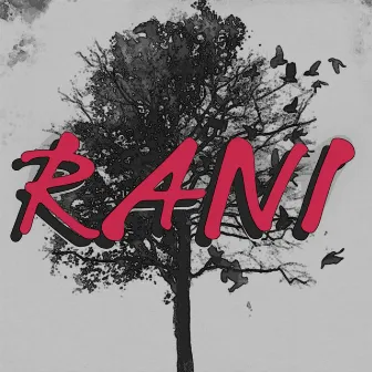 RANI by Danny Khan