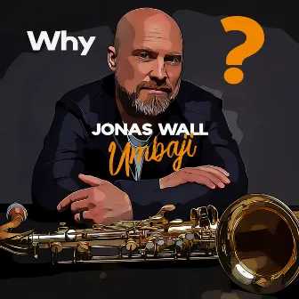 Why? by Jonas Wall