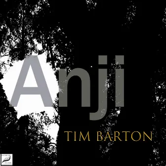 Anji (Unplugged Live) by Tim Barton