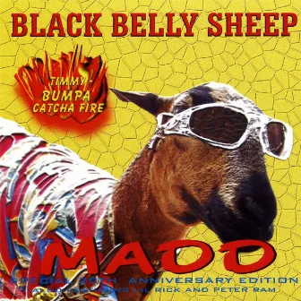 Black Belly Sheep by Madd