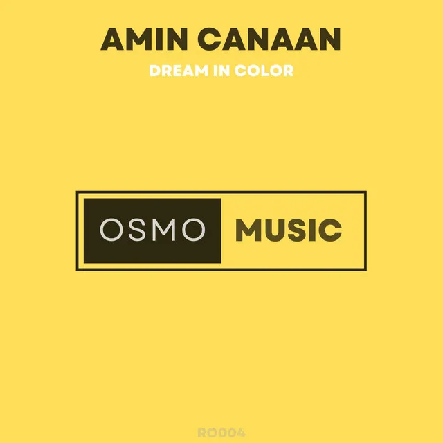 Dream in Color - Radio