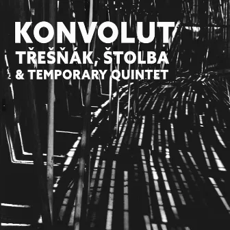 Konvolut by Vlastimil Třešňák