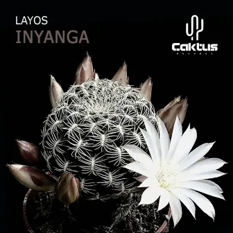 Inyanga by LAYOS