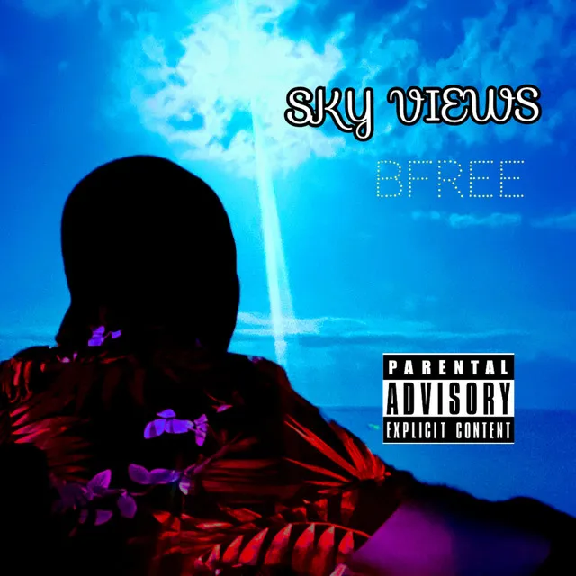 Sky Views Outro