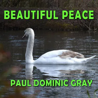 Beautiful Peace by Paul Dominic Gray