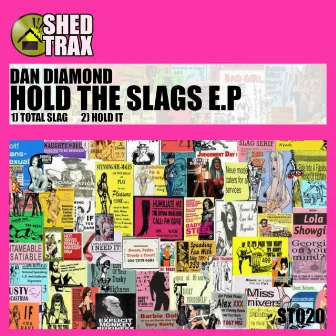 Hold The Slags EP by Dan Diamond