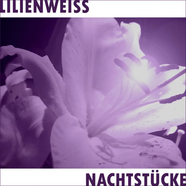 Nachtstück 1.1 Reprise