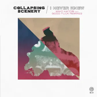 I Never Knew - Remixes by Collapsing Scenery