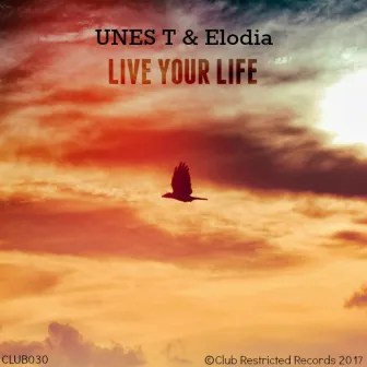 Live Your Life by Elodia