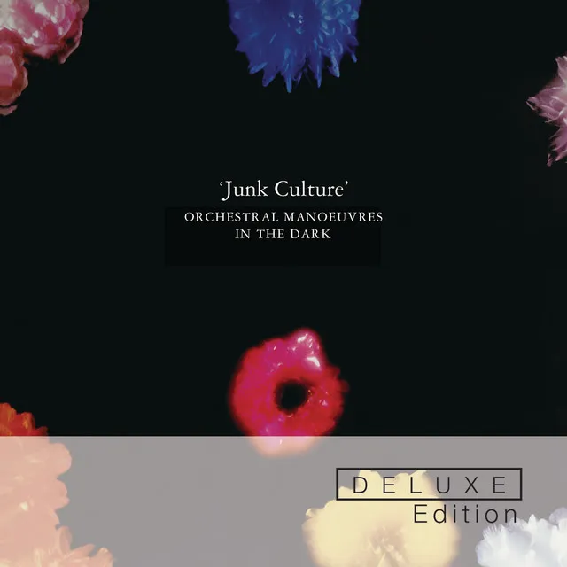 Junk Culture (Deluxe Edition)