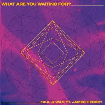 What Are You Waiting For by Faul & Wad