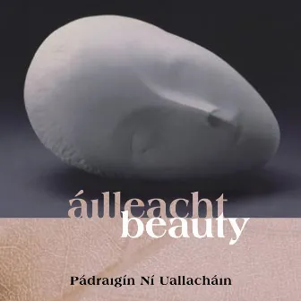 Áilleacht by Pádraigín Ní Uallacháin