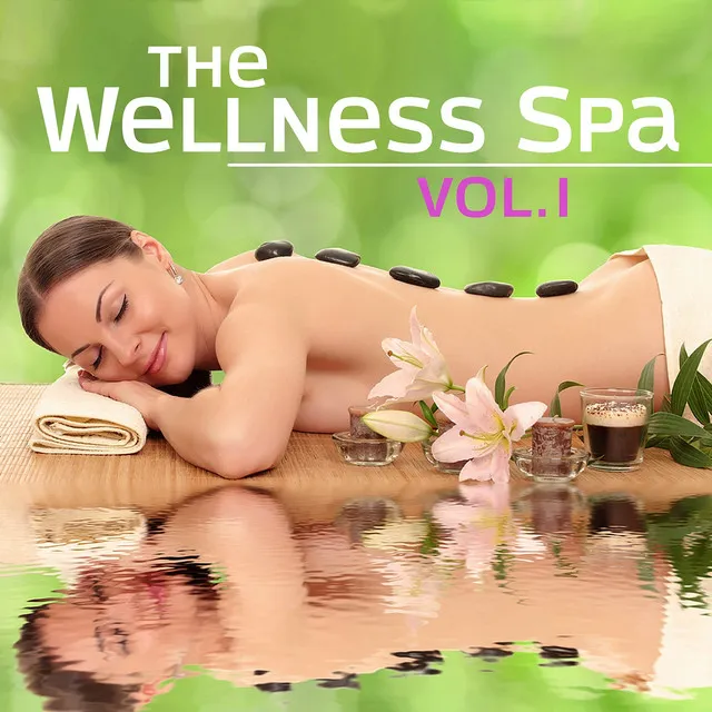 The Wellness Spa, Vol. 1 (Soft Instrumental Piano Music for Meditation, Relaxation, Massage, Stress Relief, Sound Therapy, Healthy Sleep and Sauna)