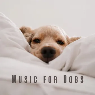 Music for Dogs: Harmonic Tunes for Calm Moments by Antologie