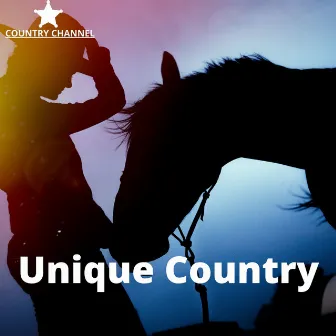 Unique Country Instrumental Essence by Country Channel