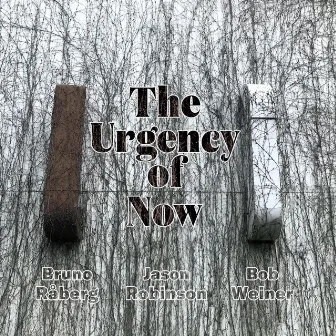 The Urgency of Now by Bruno Raberg