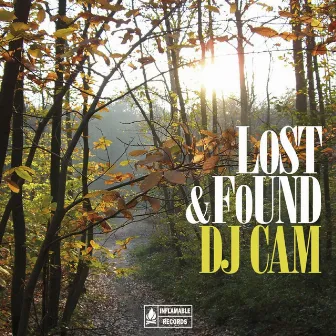 Lost & Found Compilation by DJ Cam