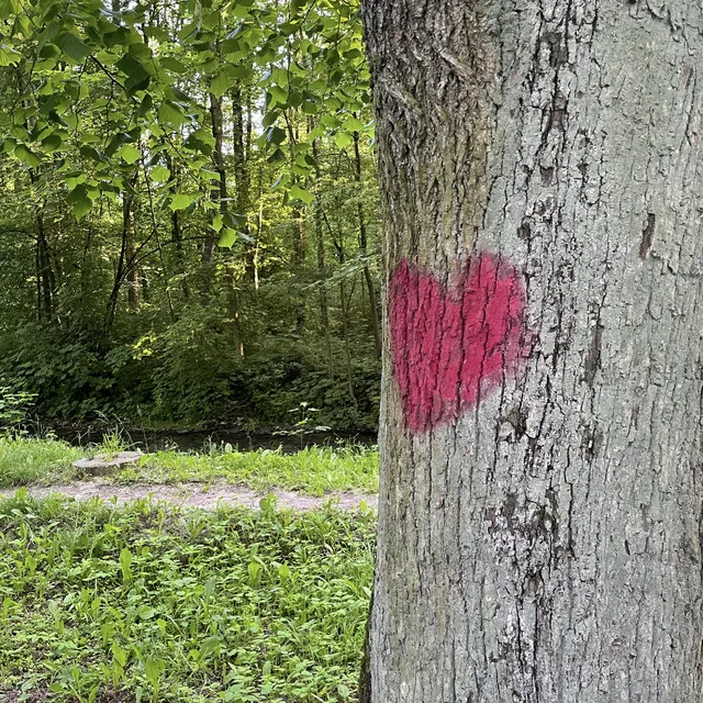 chcem veľa povedať