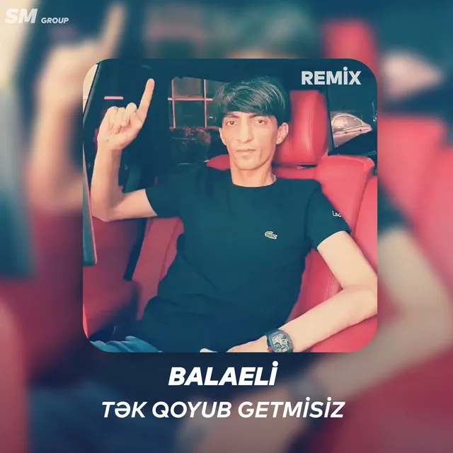 Tek Qoyub Getmisiz (Remix)