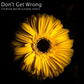 Don't Get Wrong by Basi De La Fuente