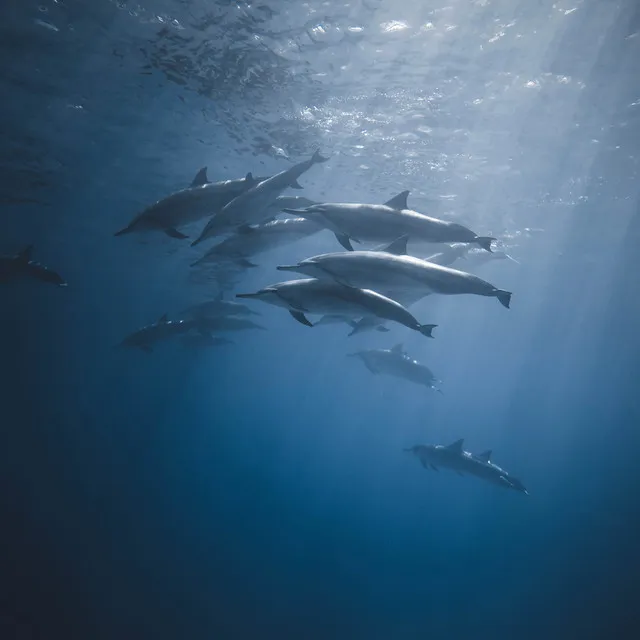 Ocean Meditation