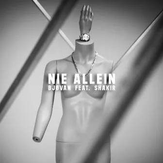 Nie allein by Bjovan