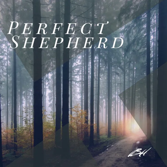 Perfect Shepherd