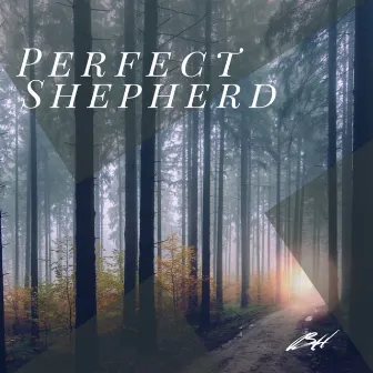 Perfect Shepherd by Baily Hager