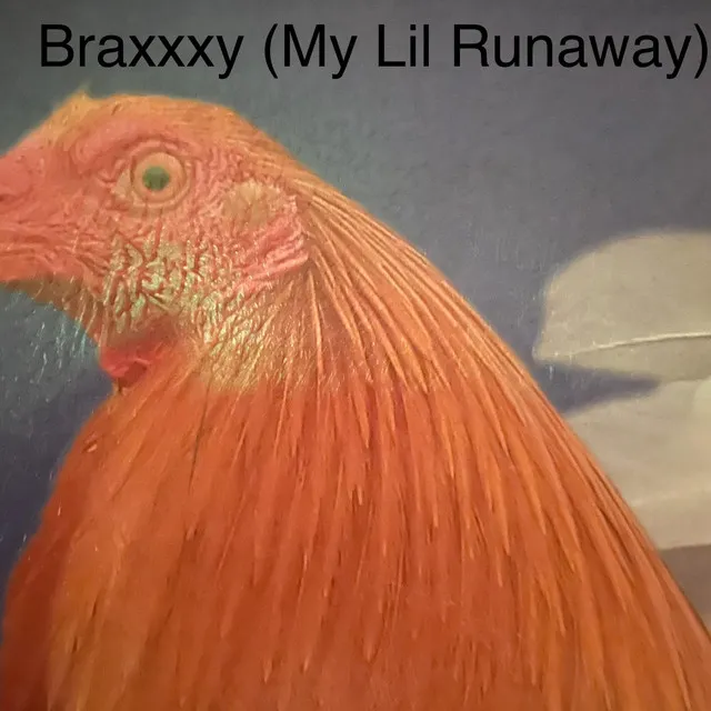 Braxxxy... My LilRunaway