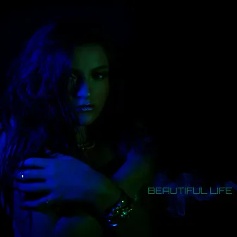 Beautiful Life by Taryn Coccia