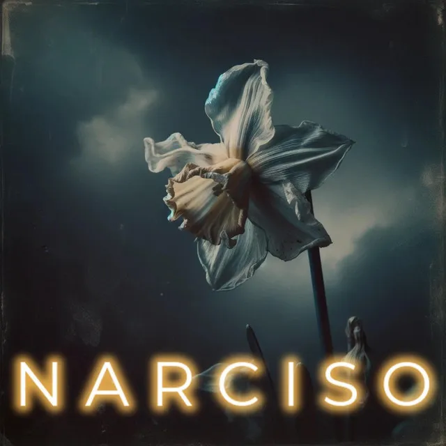 Narciso