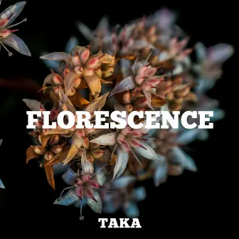 Florescence by Taka