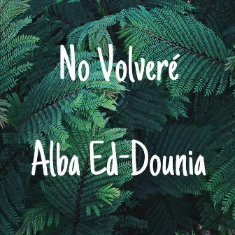 No Volveré by Alba Ed-Dounia