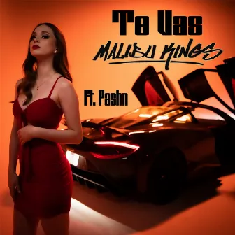 Te Vas by Malibu Kings