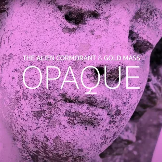 Opaque by The Alien Cormorant