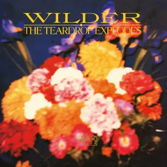 Wilder (Remastered Expanded Edition) by The Teardrop Explodes