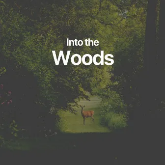 Into the Woods by Deep Sleep Background Noise