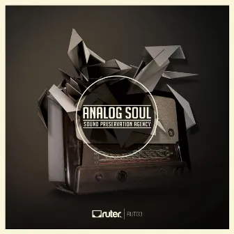 Analog Soul by Sound Preservation Agency