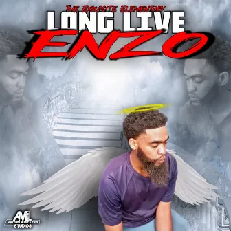 Long Live Enzo by The Exquisite Elementary