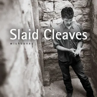 Wishbones by Slaid Cleaves