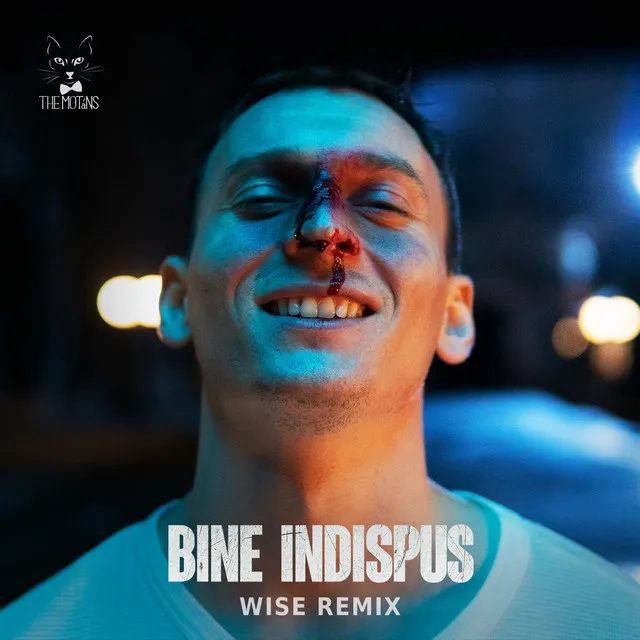 Bine Indispus - Wise Remix